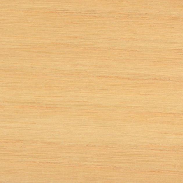 Robinia