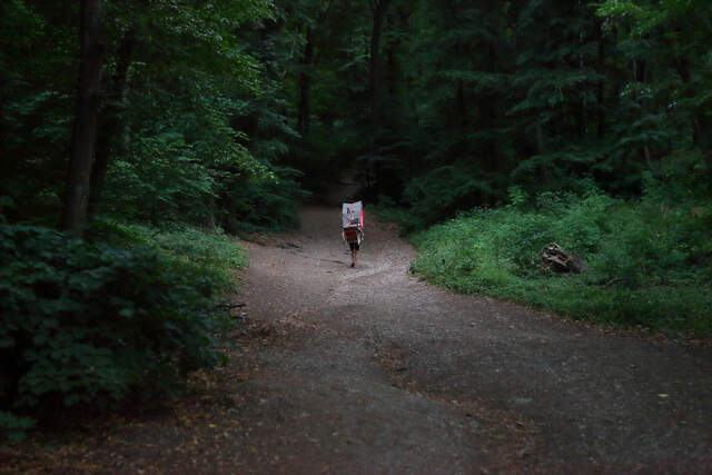 Kde hledat nadějné vyhlídky?